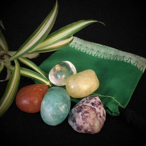 Allergy Help Tumbles Set by Crystal Visions featuring a selection of handpicked healing crystals including Carnelian, Aquamarine, Lepidolite, Fluorite, and Clear Quartz, elegantly arranged with a vibrant green pouch and lush plant accents.