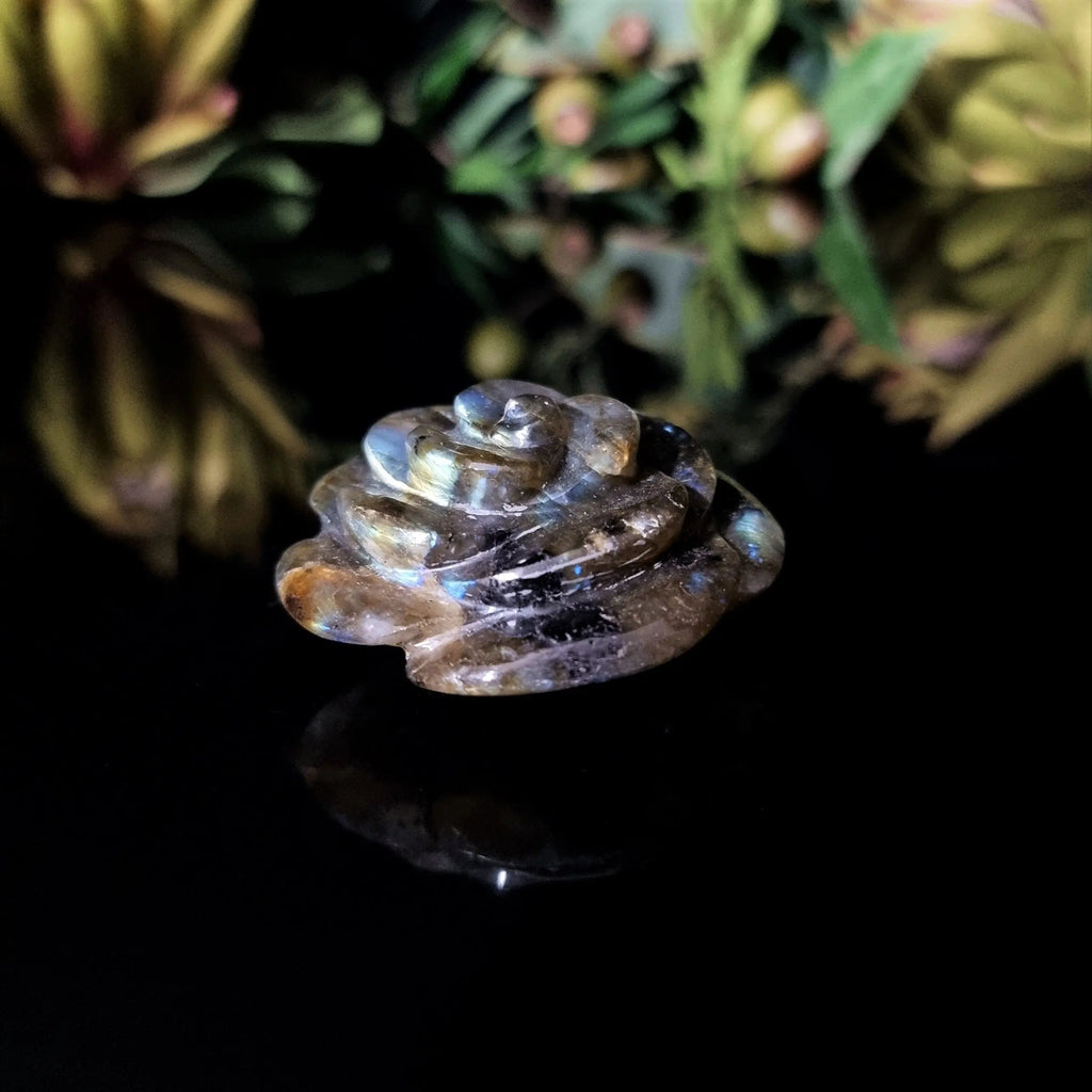 Labradorite Rose Crystal Visions Store
