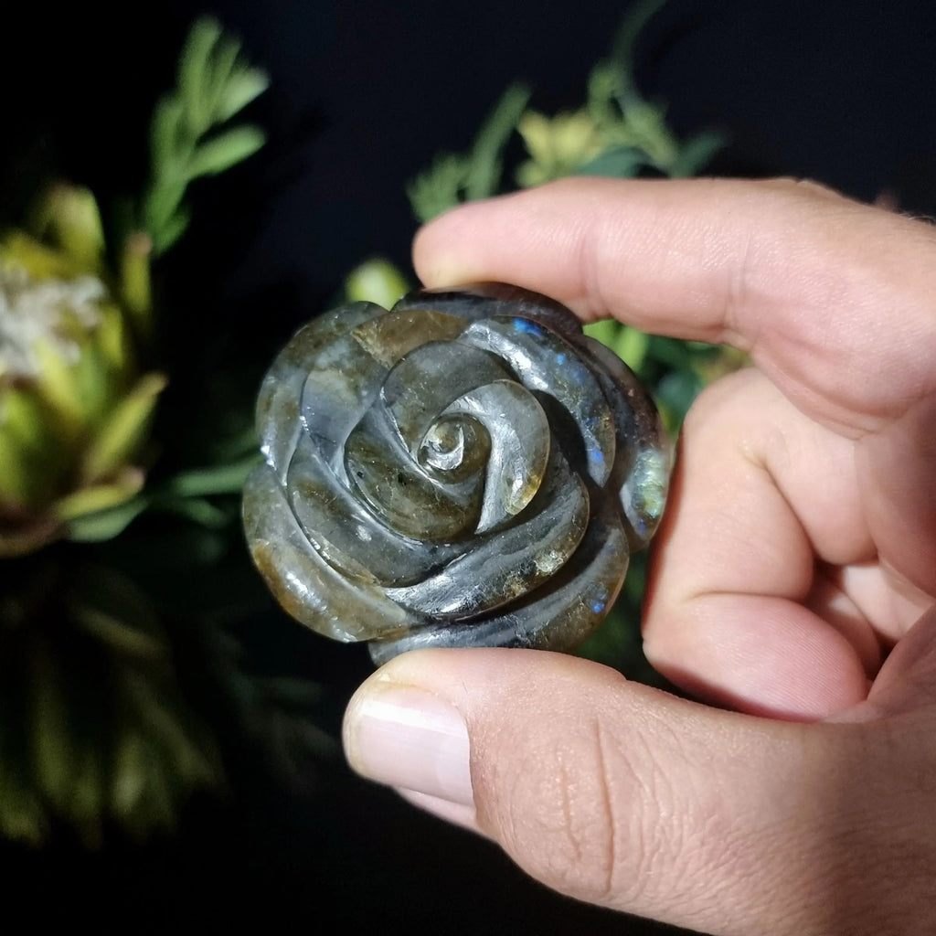 Labradorite Rose Crystal Visions Store