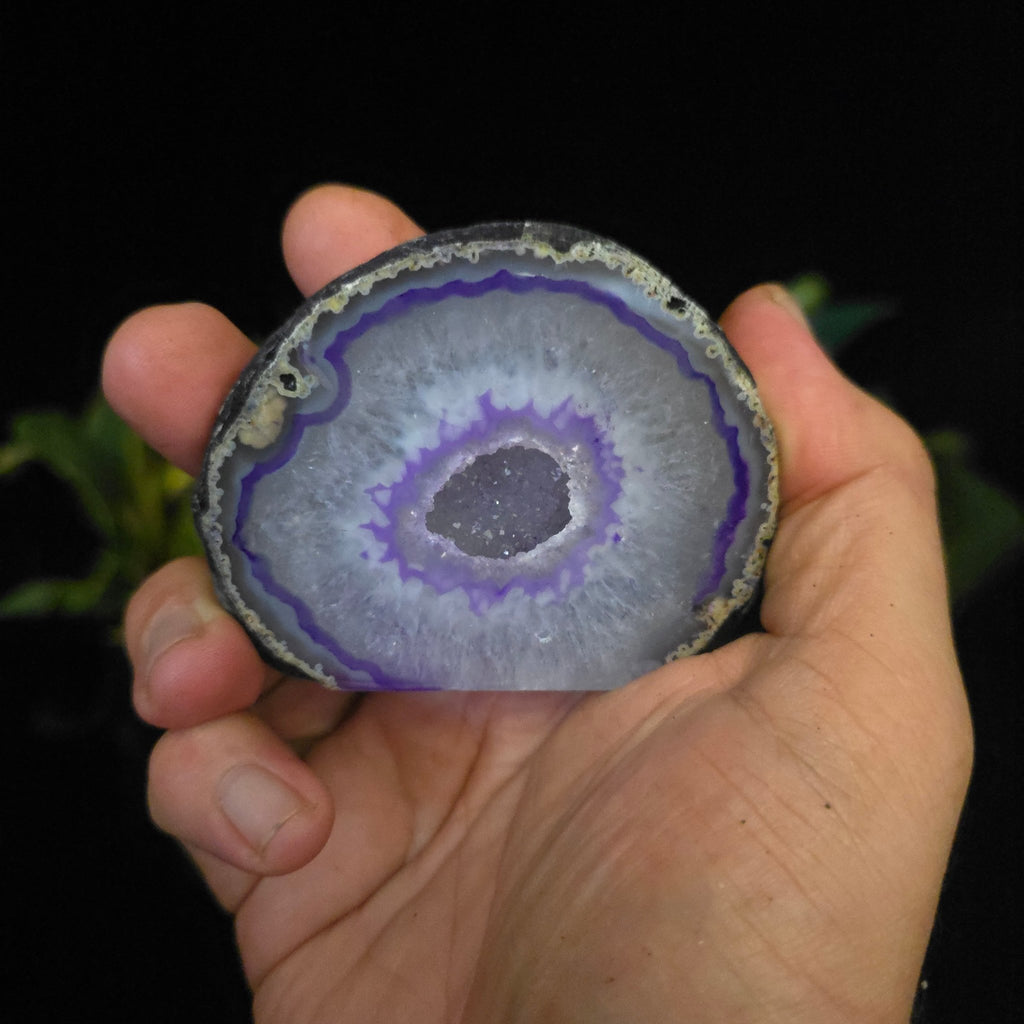 Agate Geode - Crystal Visions Store