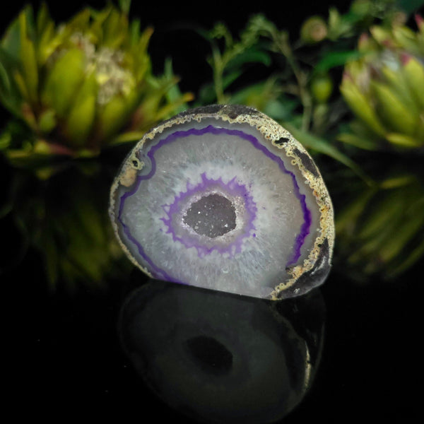 Agate Geode - Crystal Visions Store