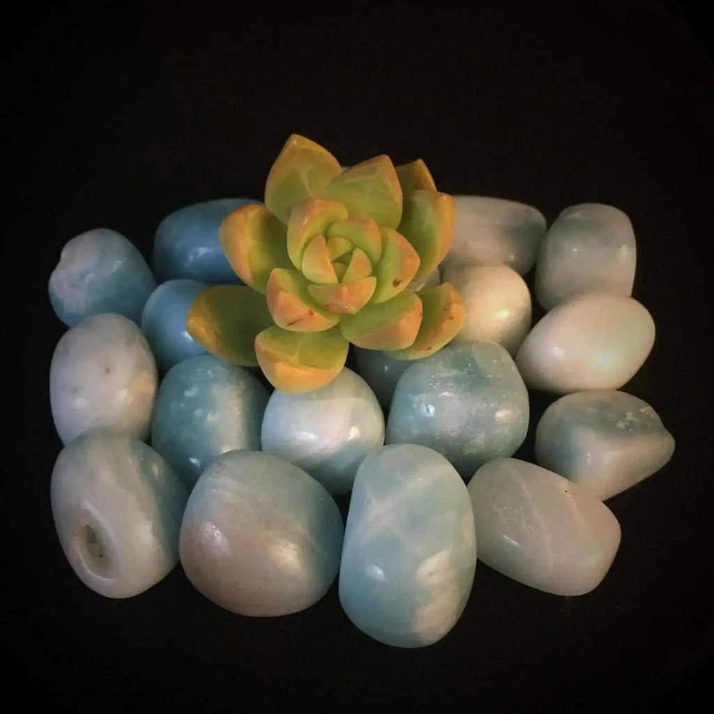 Amazonite Tumble Stones - Crystal Visions Store