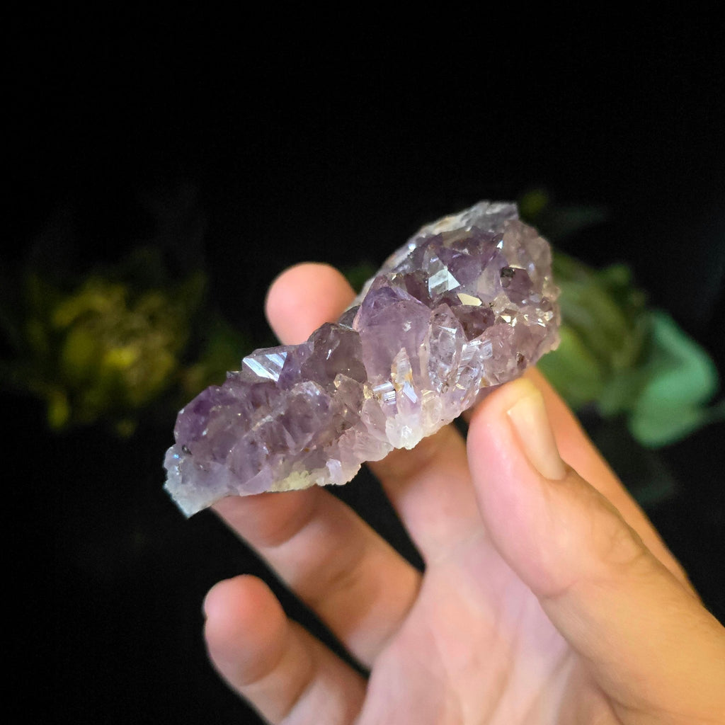 Amethyst Cluster - Crystal Visions Store