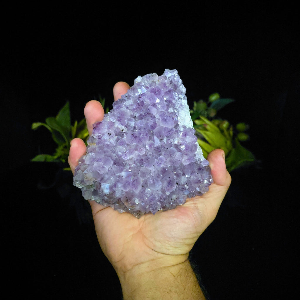 Amethyst Cluster - Crystal Visions Store