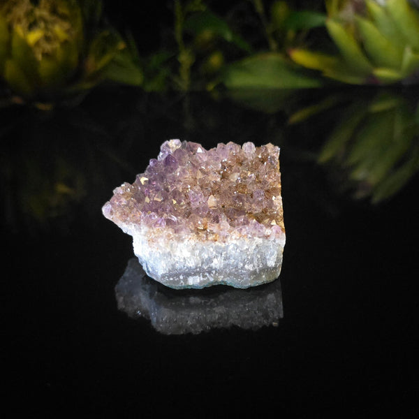 Amethyst Cluster