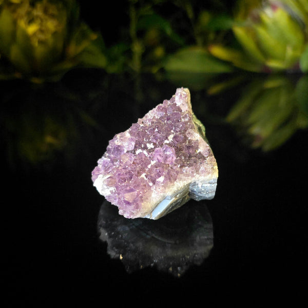 Amethyst Cluster