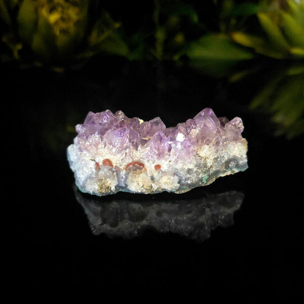 Amethyst Cluster
