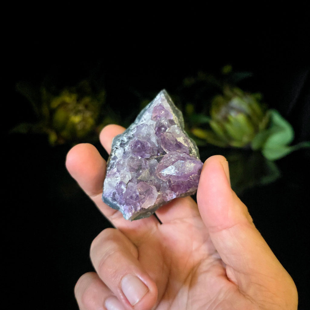 Amethyst Cluster - Crystal Visions Store