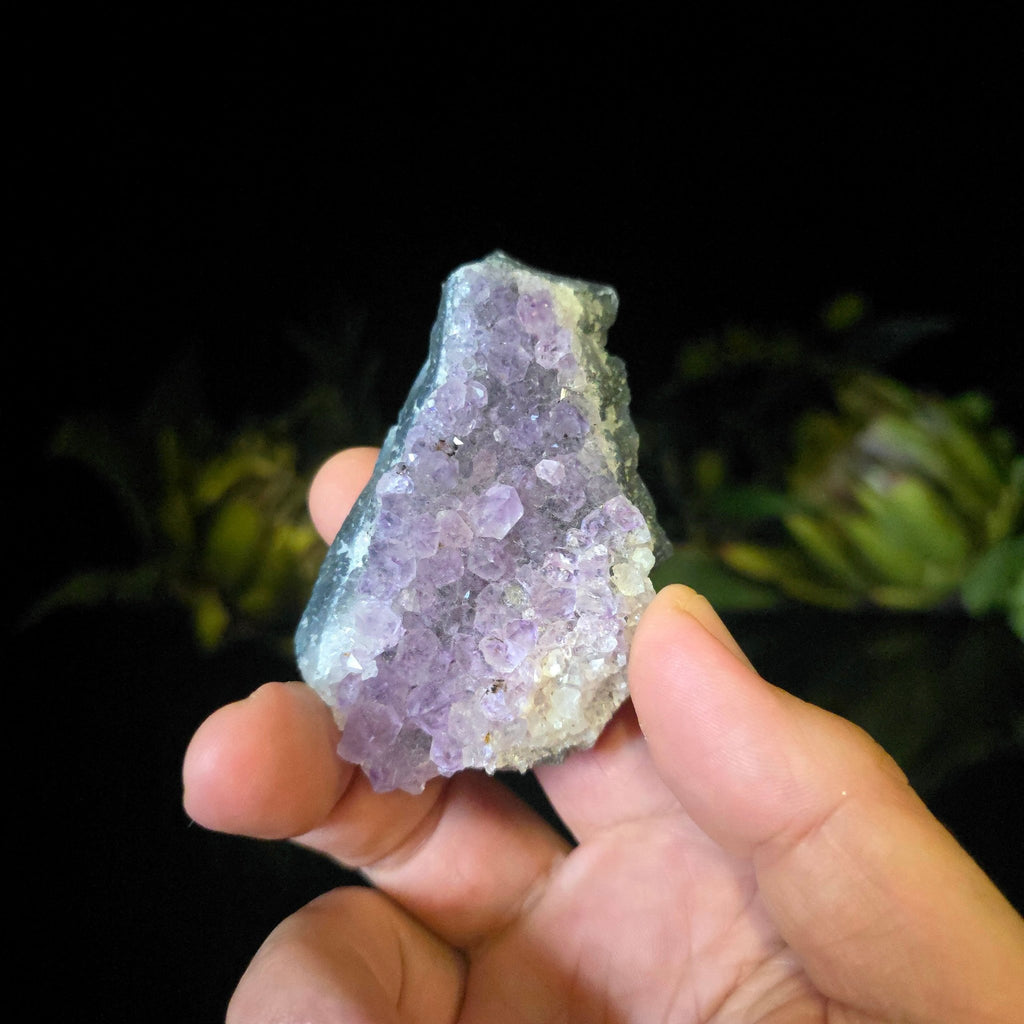 Amethyst Cluster - Crystal Visions Store