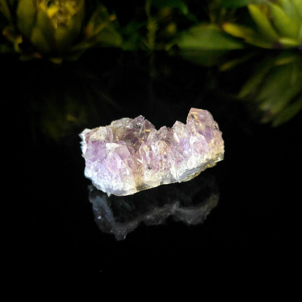 Amethyst Cluster - Crystal Visions Store