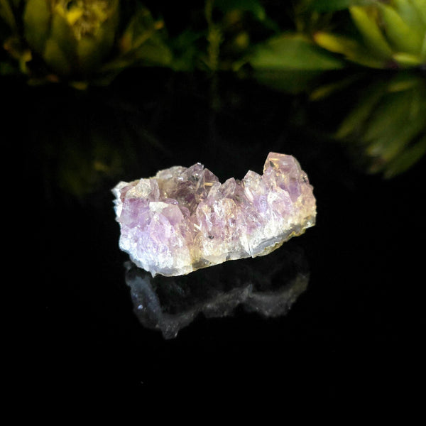 Amethyst Cluster