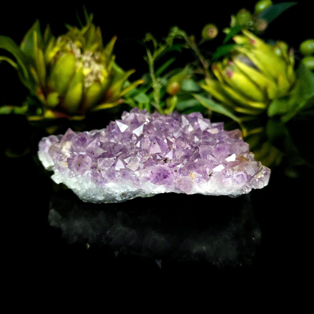 Amethyst Cluster - Crystal Visions Store