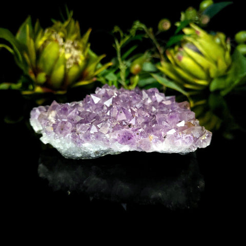 Amethyst Cluster - Crystal Visions Store