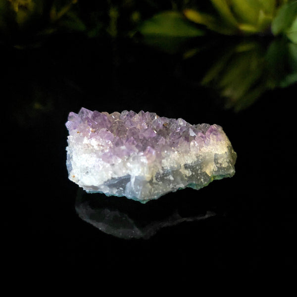Amethyst Cluster