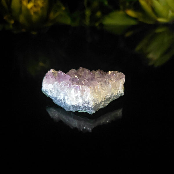 Amethyst Cluster