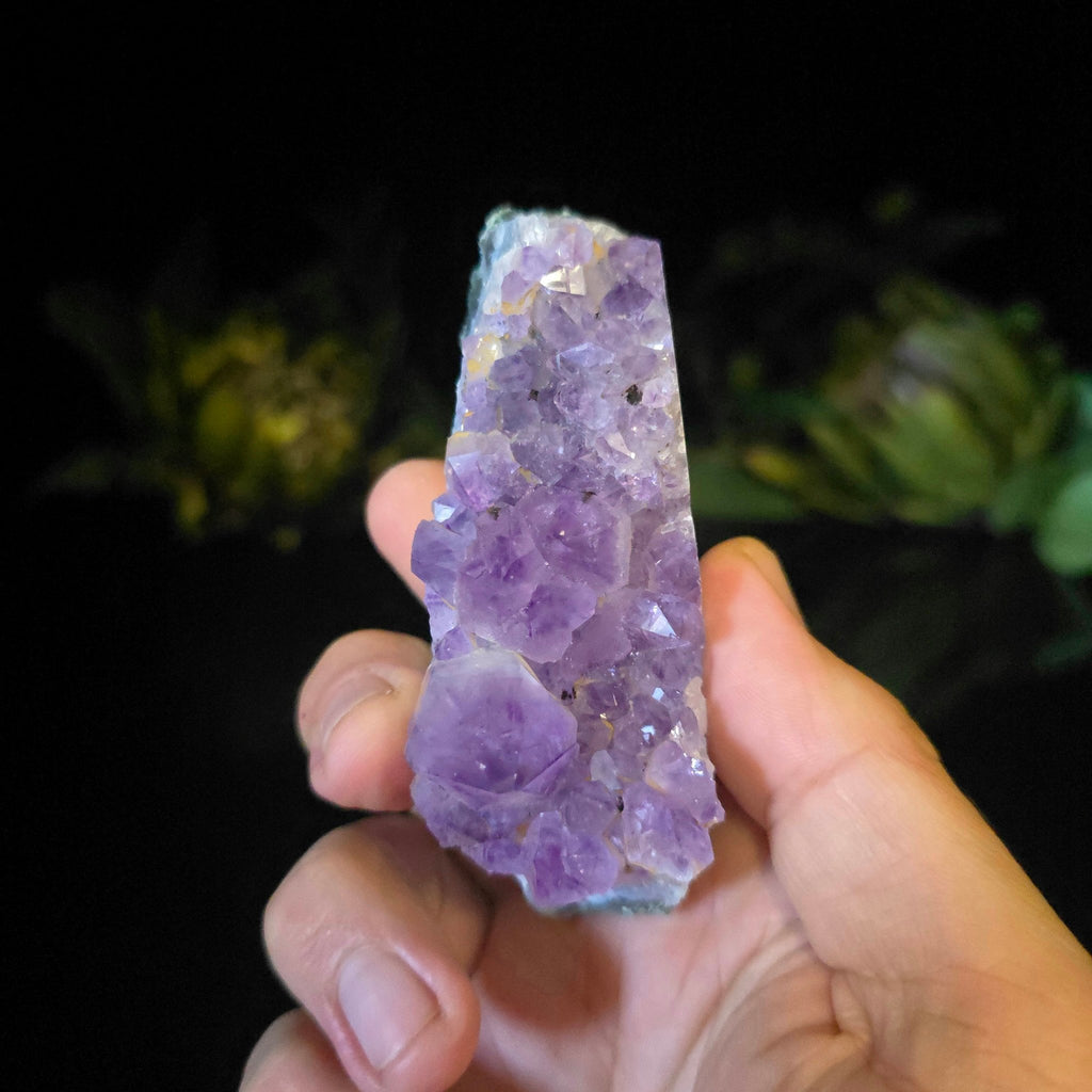 Amethyst Cluster - Crystal Visions Store