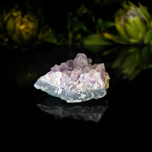 Amethyst Cluster