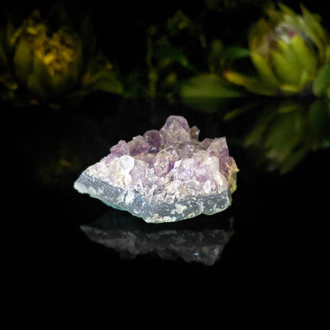 Amethyst Cluster - Crystal Visions Store