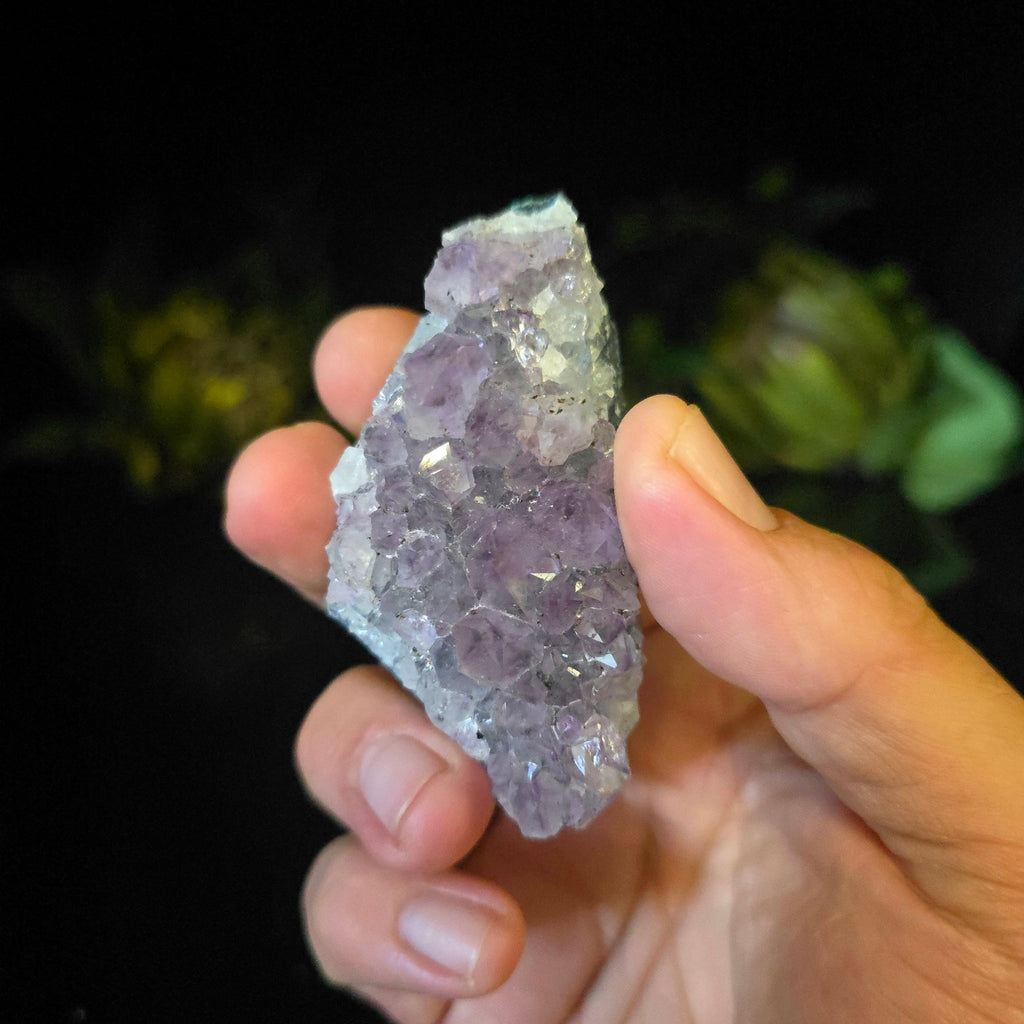Amethyst Cluster - Crystal Visions Store
