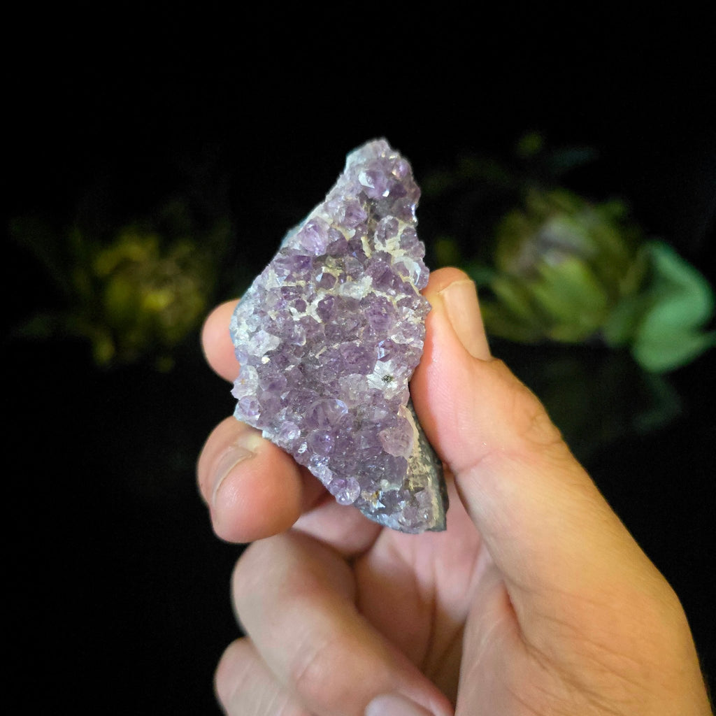 Amethyst Cluster - Crystal Visions Store