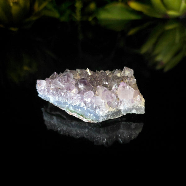 Amethyst Cluster