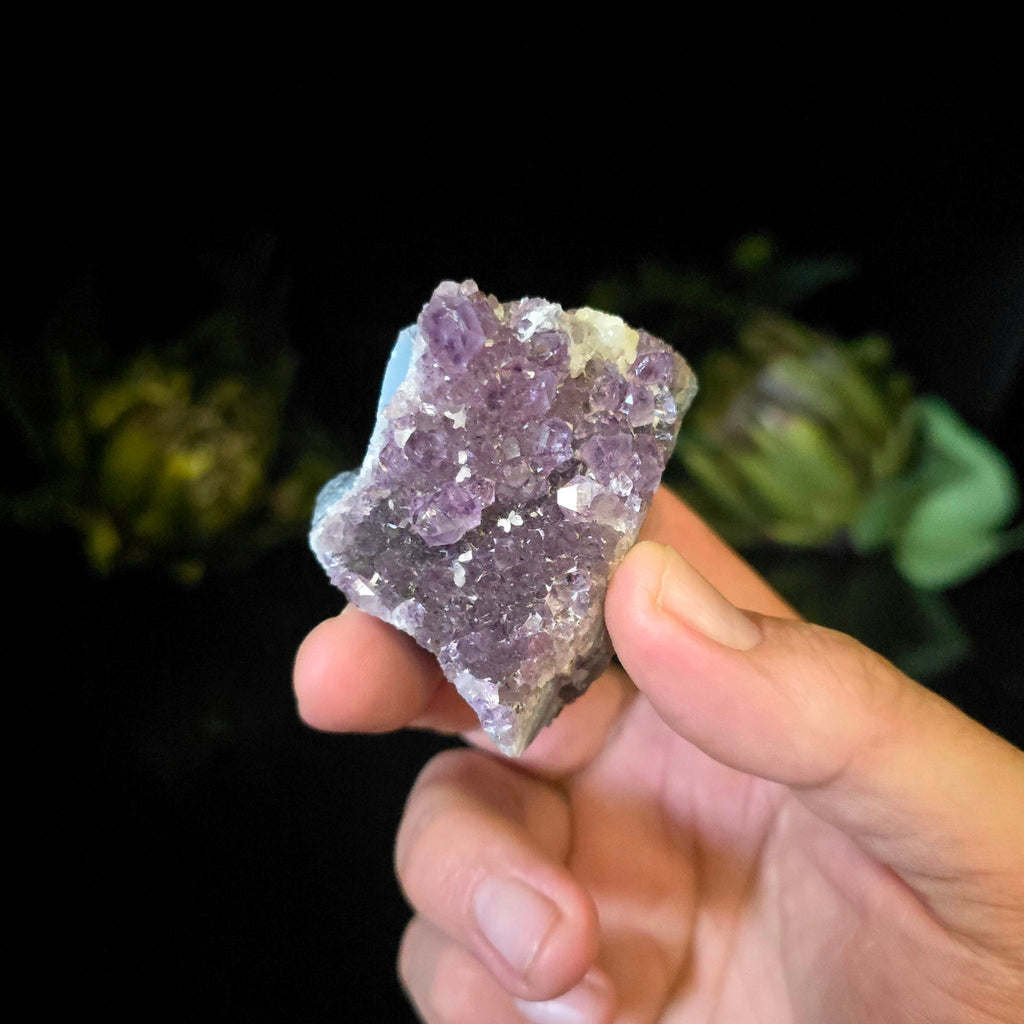 Amethyst Cluster - Crystal Visions Store