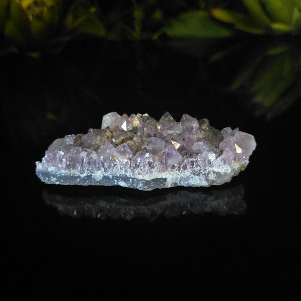 Amethyst Cluster