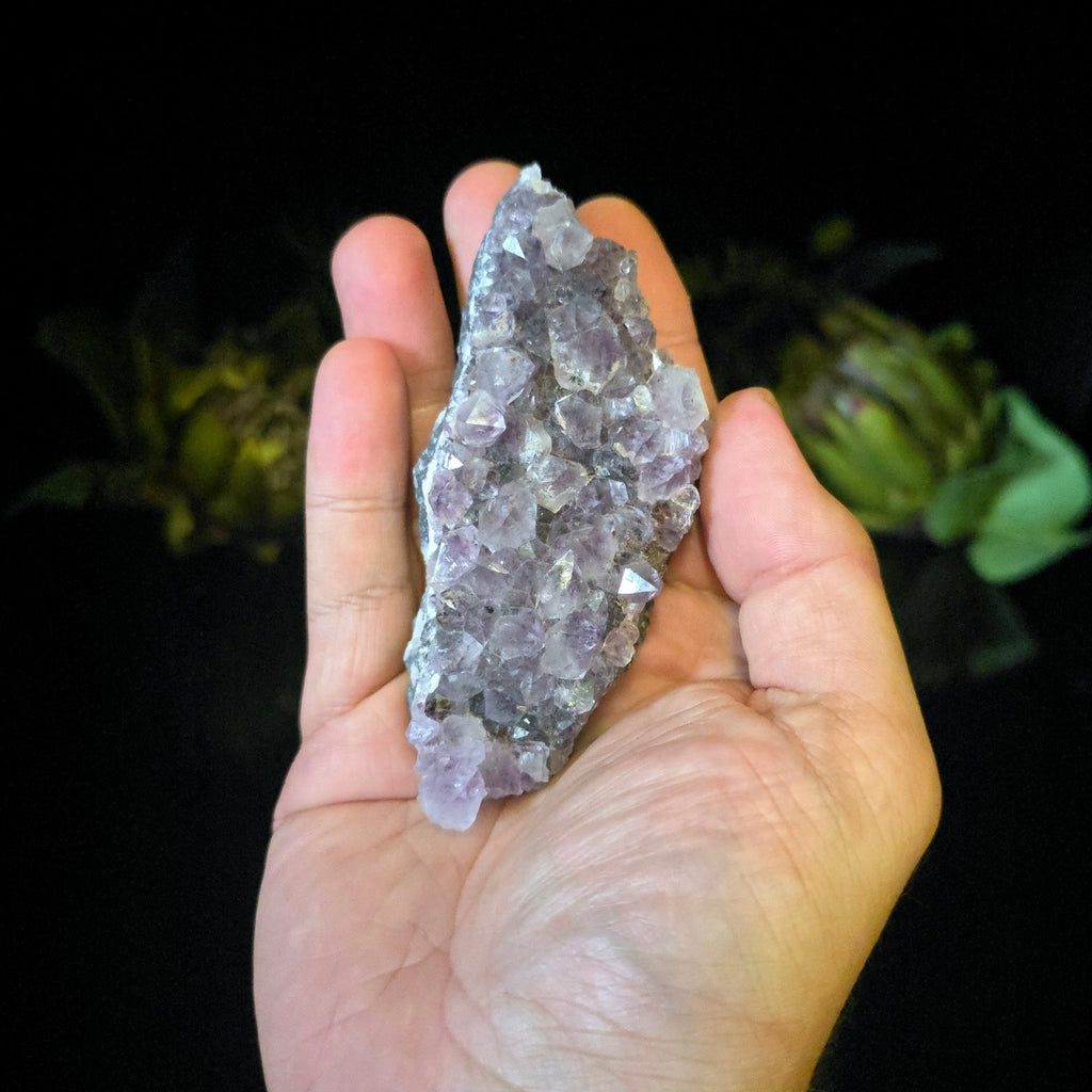 Amethyst Cluster - Crystal Visions Store