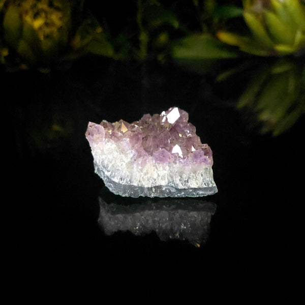 Amethyst Cluster