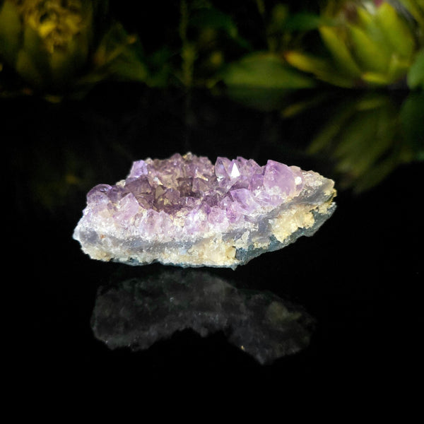 Amethyst Cluster