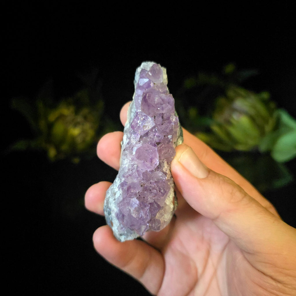 Amethyst Cluster - Crystal Visions Store