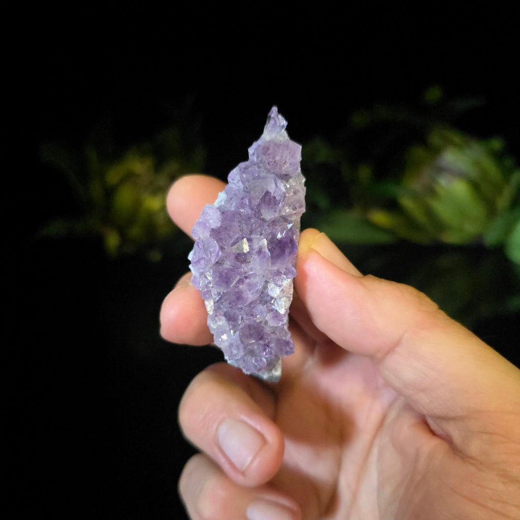 Amethyst Cluster - Crystal Visions Store