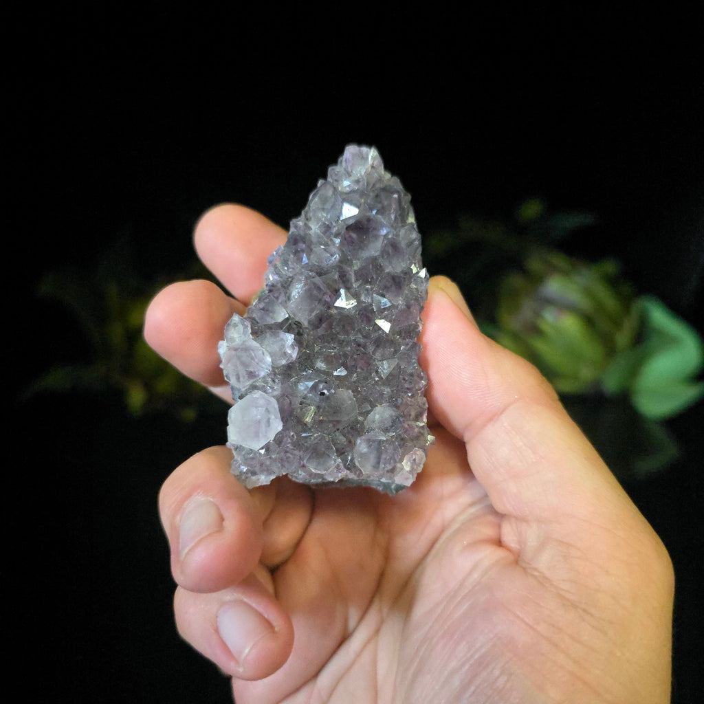Amethyst Cluster - Crystal Visions Store