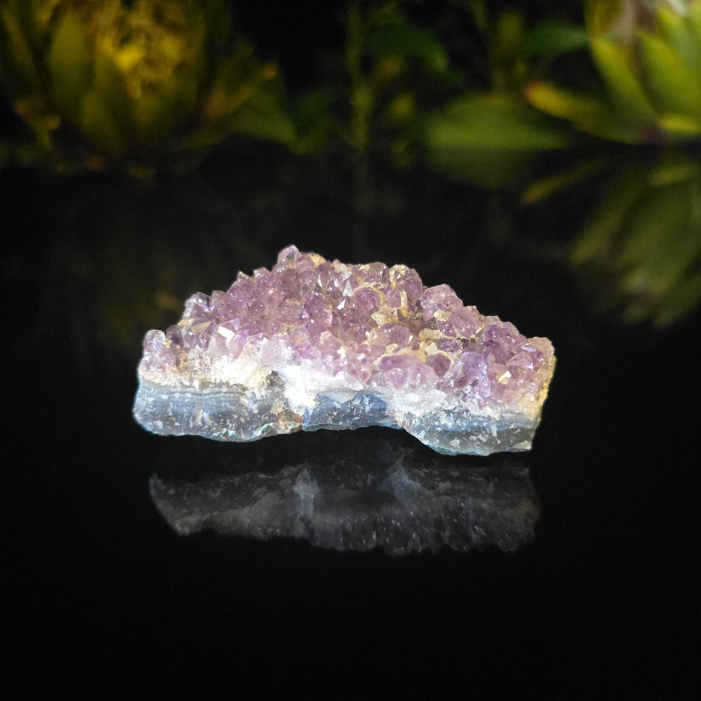 Amethyst Cluster - Crystal Visions Store