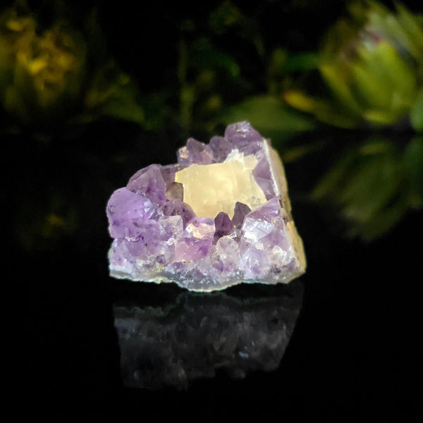 Amethyst Cluster