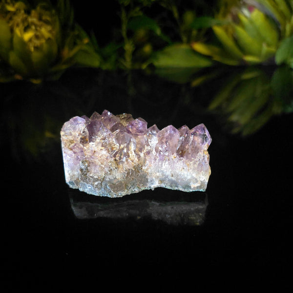 Amethyst Cluster - Crystal Visions Store