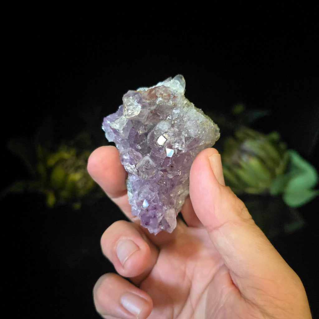 Amethyst Cluster - Crystal Visions Store