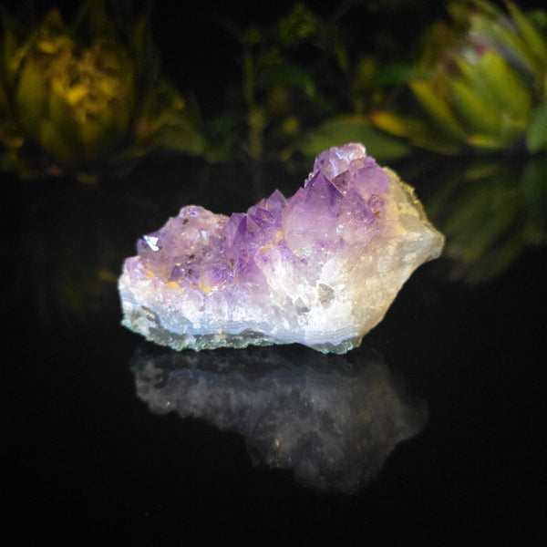 Amethyst Cluster - Crystal Visions Store