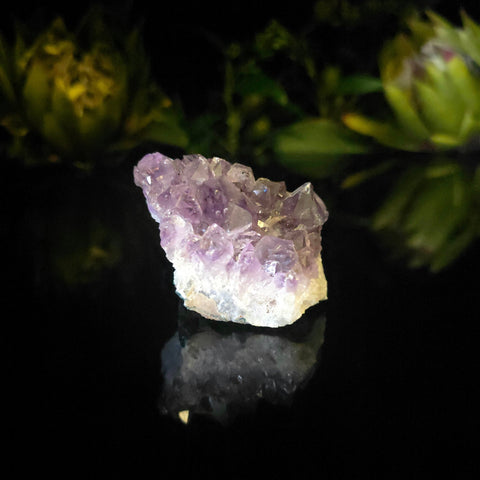 Amethyst Cluster (Copy) - Crystal Visions Store