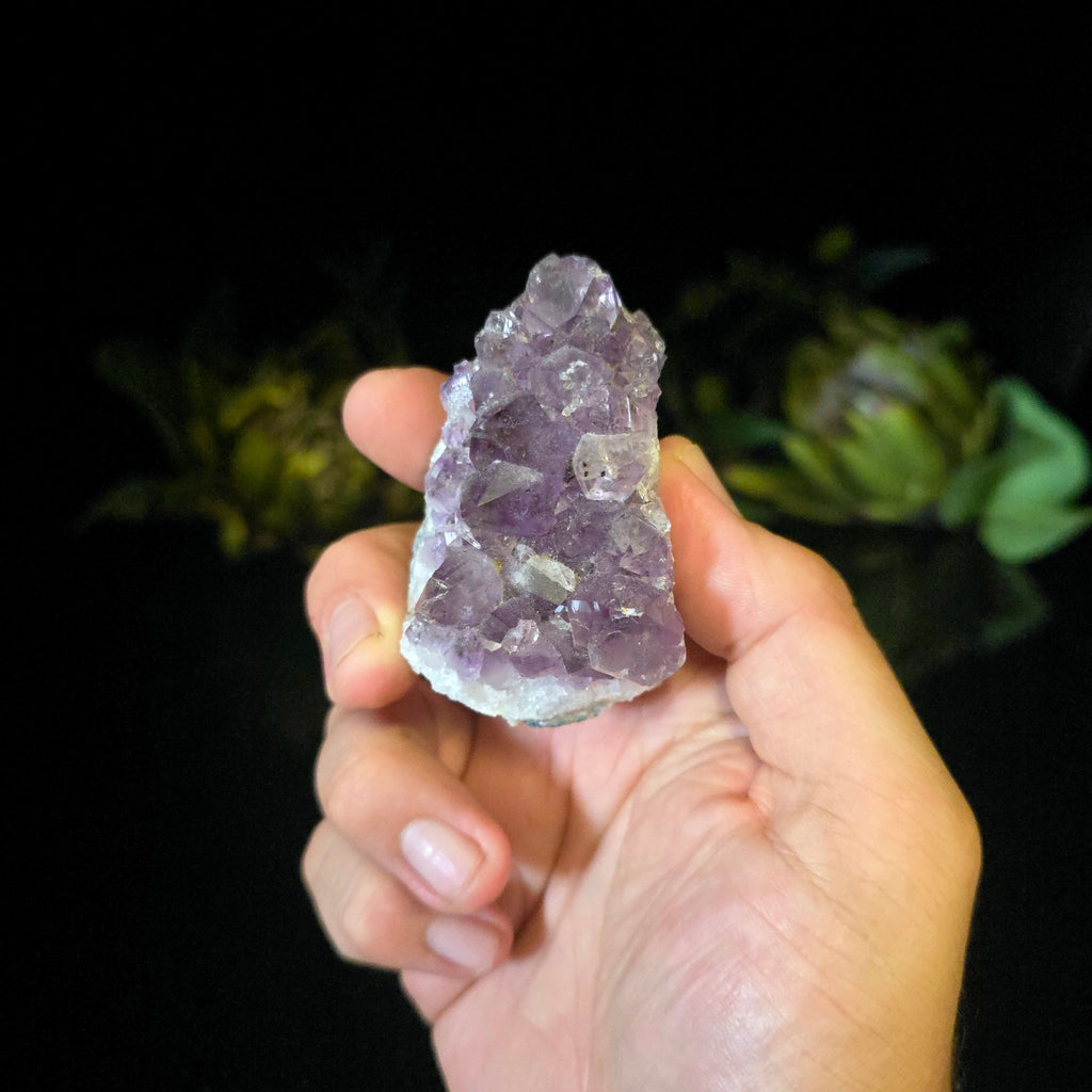 Amethyst Cluster (Copy) - Crystal Visions Store