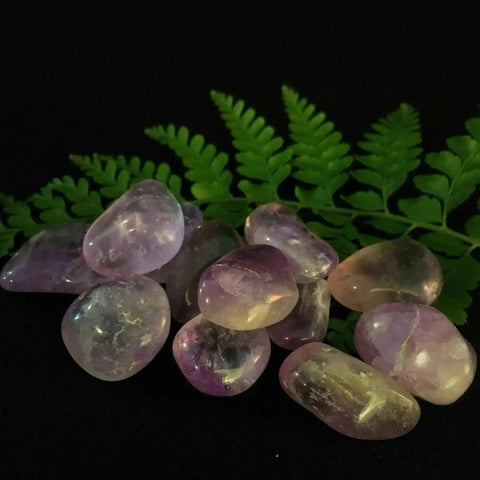 Amethyst Tumble Stones - Crystal Visions Store
