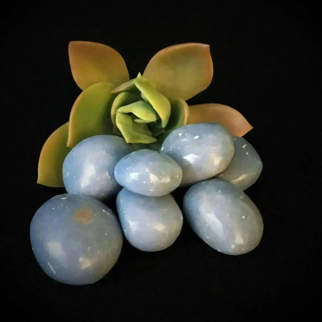 Angelite Tumble Stones - Crystal Visions Store
