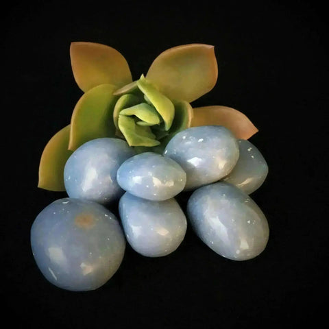 Angelite Tumble Stones - Crystal Visions Store