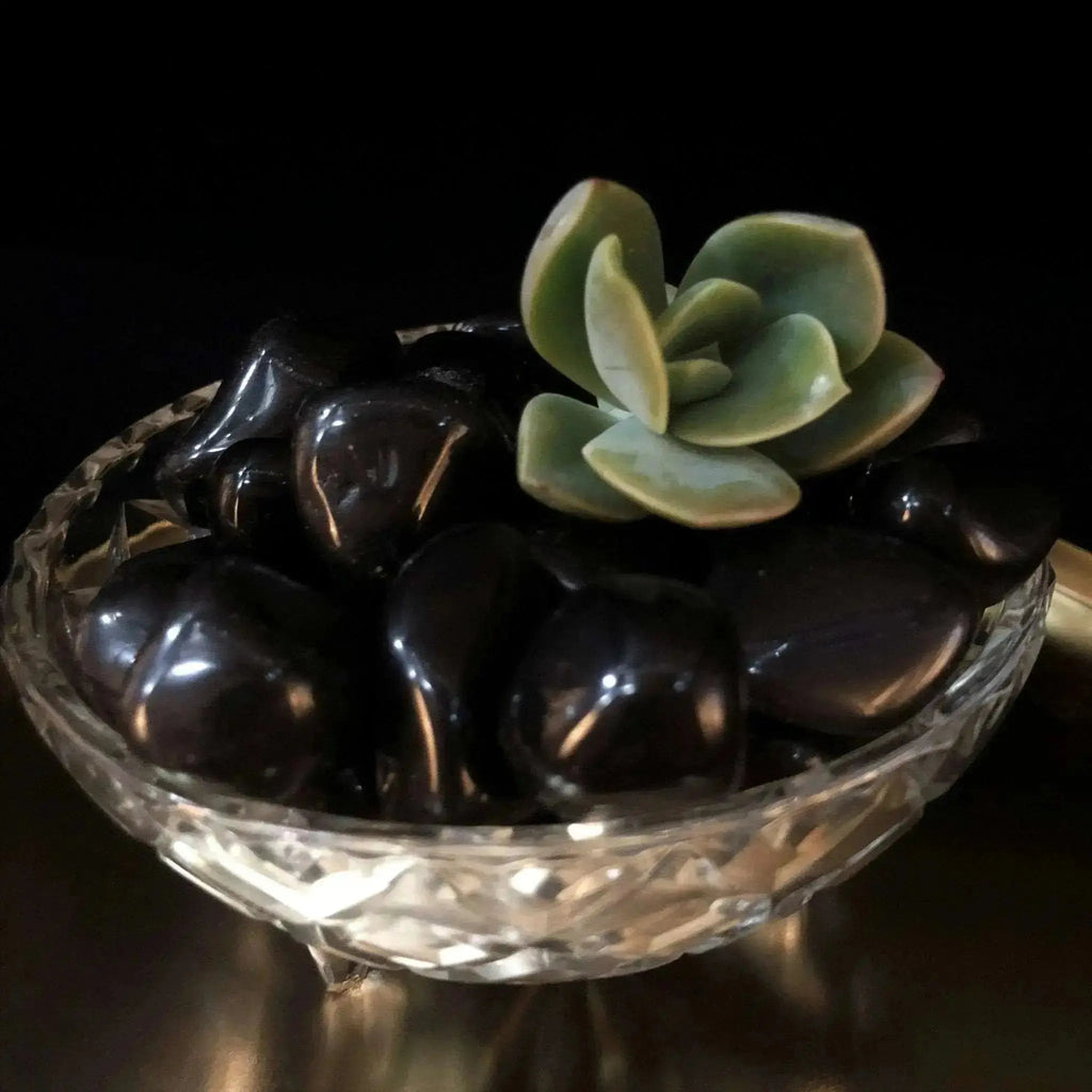 Apache Tears Tumble Stones - Crystal Visions Store