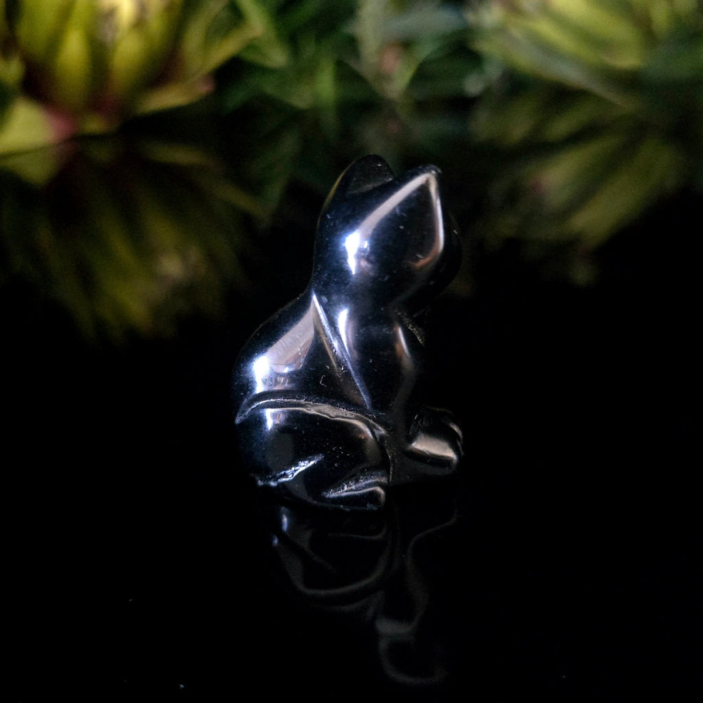 Black Obsidian Cat - Crystal Visions Store