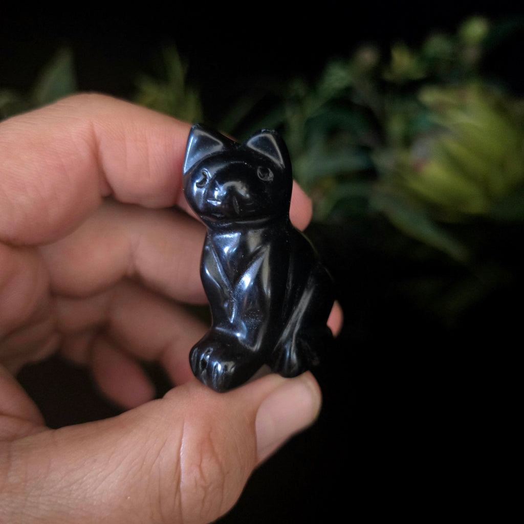 Black Obsidian Cat - Crystal Visions Store
