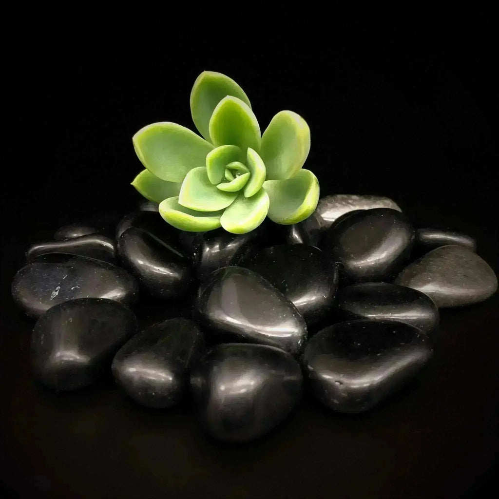 Black Obsidian Tumble Stones - Crystal Visions Store