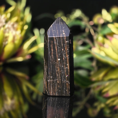 Black Tourmaline Generator - Crystal Visions Store