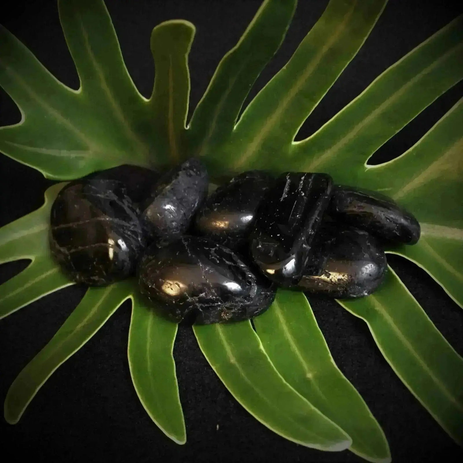 Black Tourmaline Tumble Stones - Crystal Visions Store