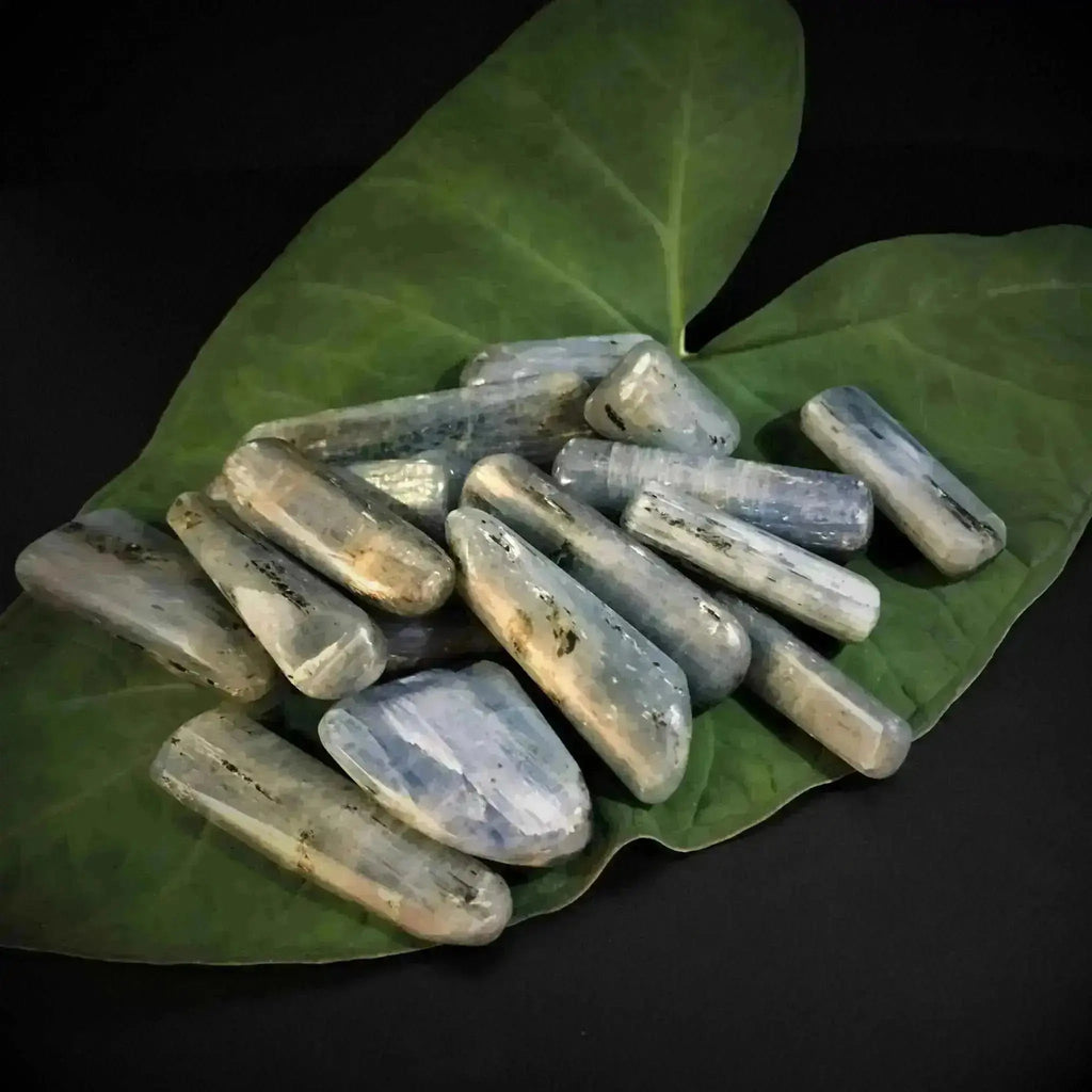 Blue Kyanite Tumble Stones - Crystal Visions Store